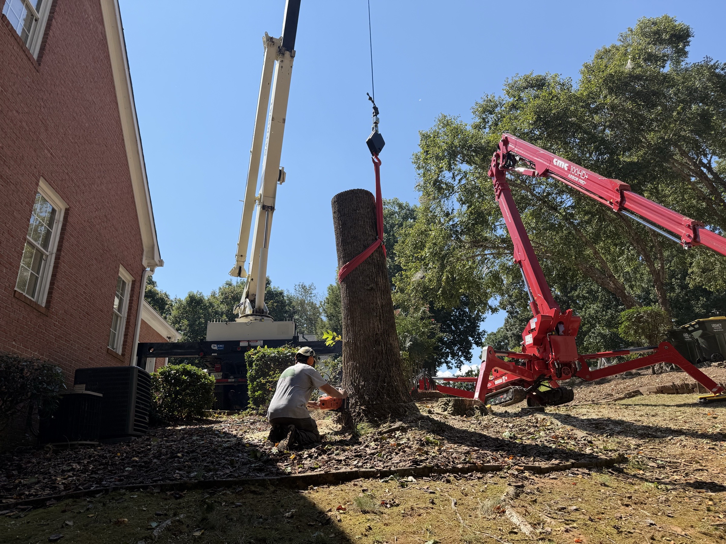 A crane supporting a large upright trunk beside a brick home, with a tree worker and red tracked lift nearby