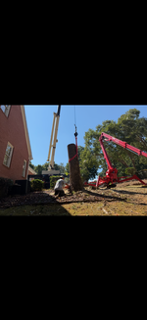Heritage crew using equipment for a tree removal beside a home