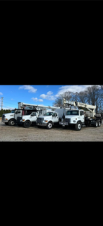 Heritage Tree Care trucks lined up outdoors