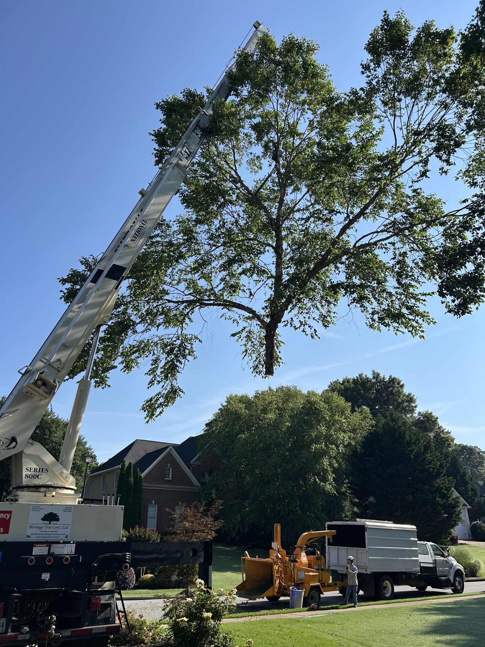 A crane lifting a large tree section above a residential yard, with Heritage Tree Care equipment below