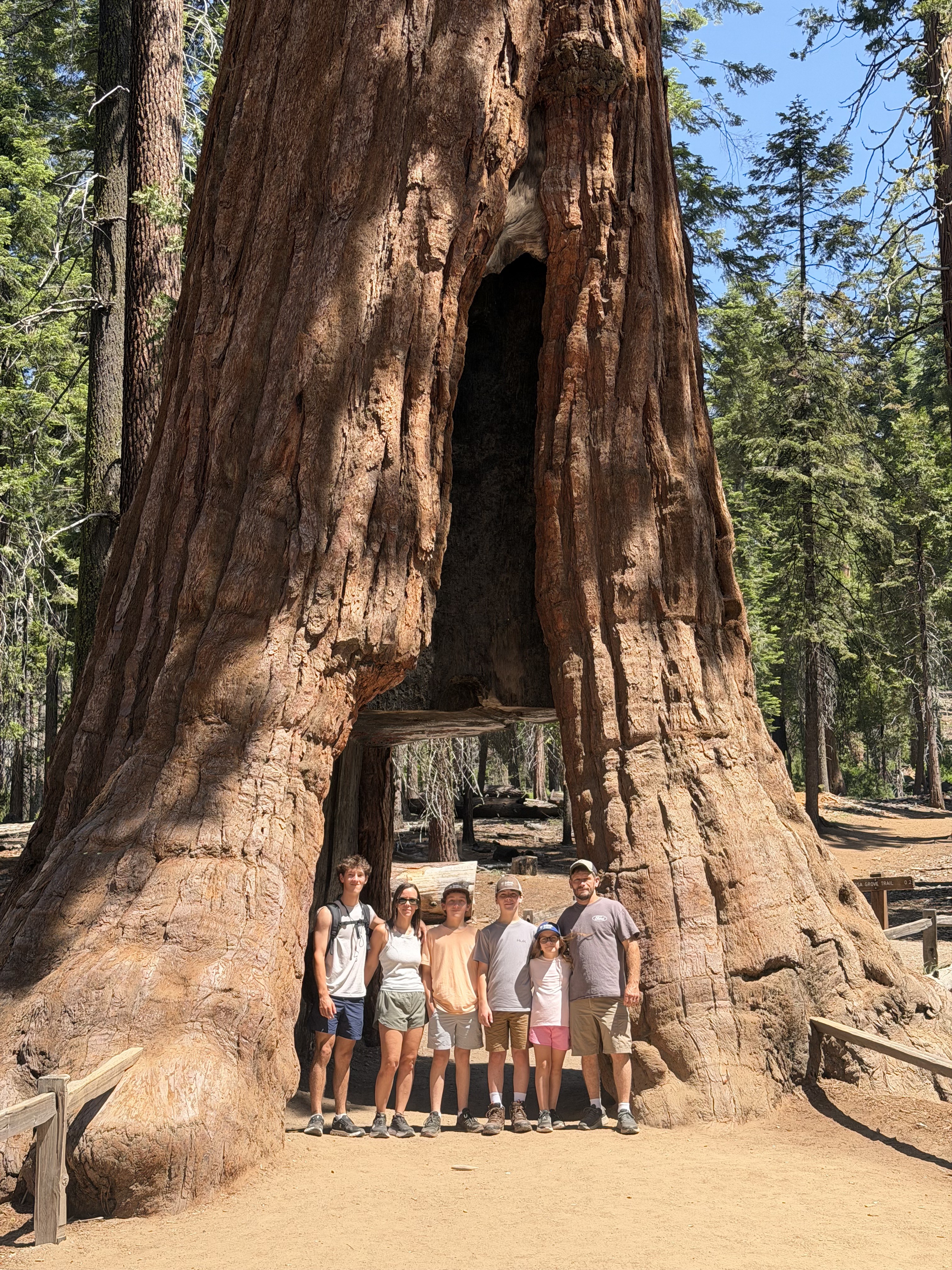 The Heritage Tree Care family together beside a giant tree