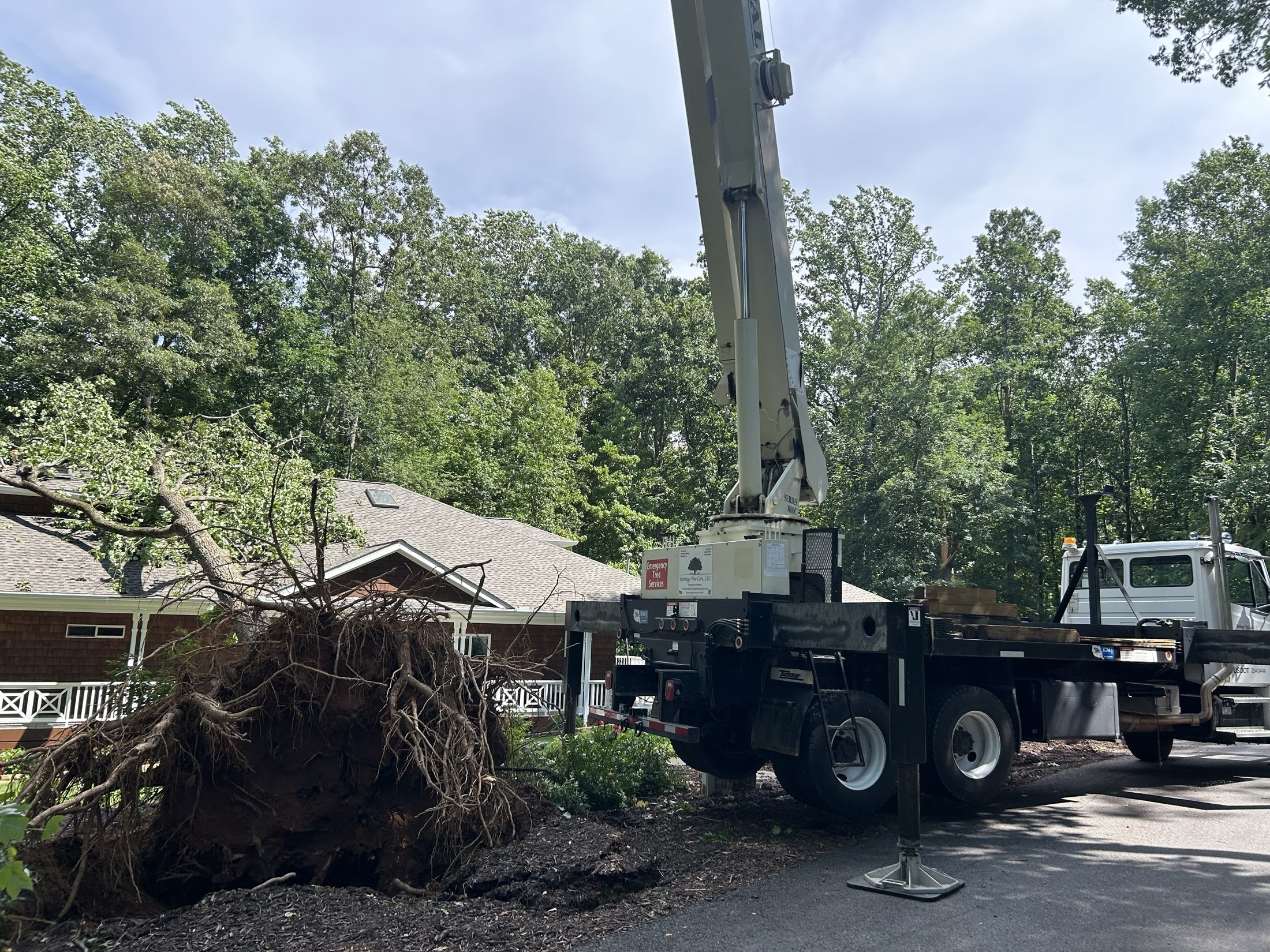A crane beside an uprooted tree that has fallen toward a home, with its exposed root ball in the foreground